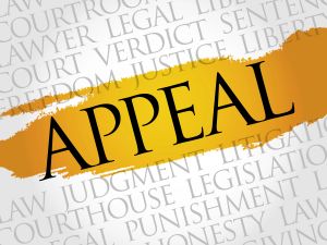 Work With A Los Angeles Appeals Lawyer Who Listens